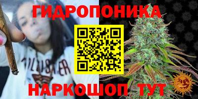 spice Бугуруслан