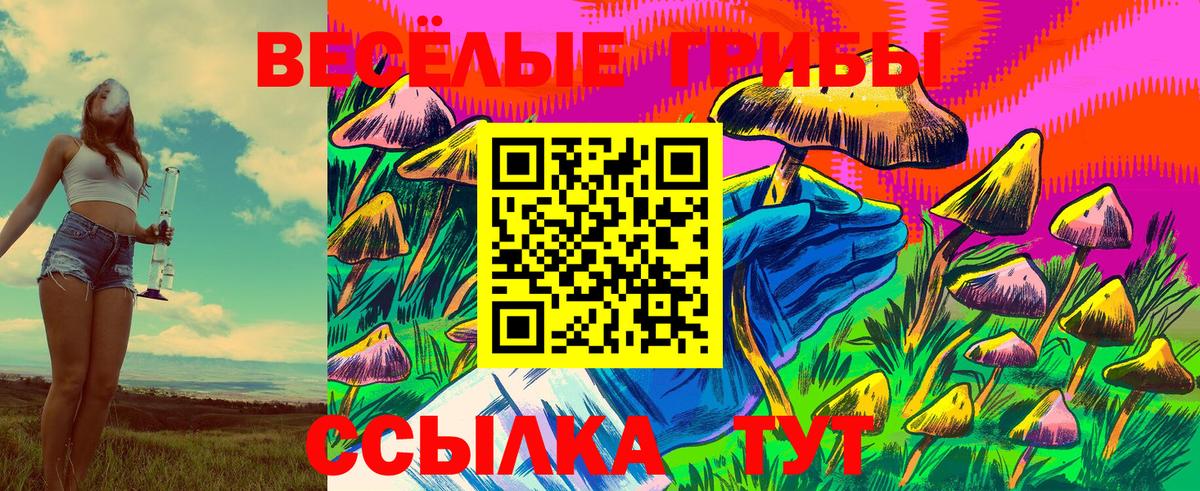Псилоцибиновые грибы Psilocybe Королёв
