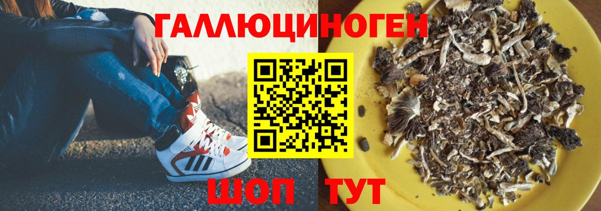 купить  сайты  Галлюциногенные грибы Magic Shrooms  Вход с VPN  Псилоцибиновые грибы Cubensis  Королёв 